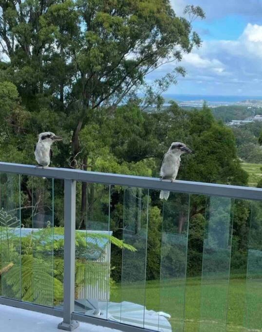 Ocean View Oasis, Coffs Harbour 아파트 외부 사진