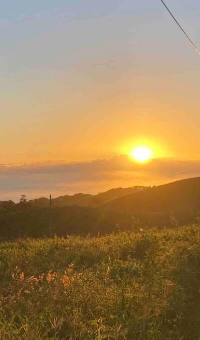 Ocean View Oasis, Coffs Harbour 아파트 외부 사진